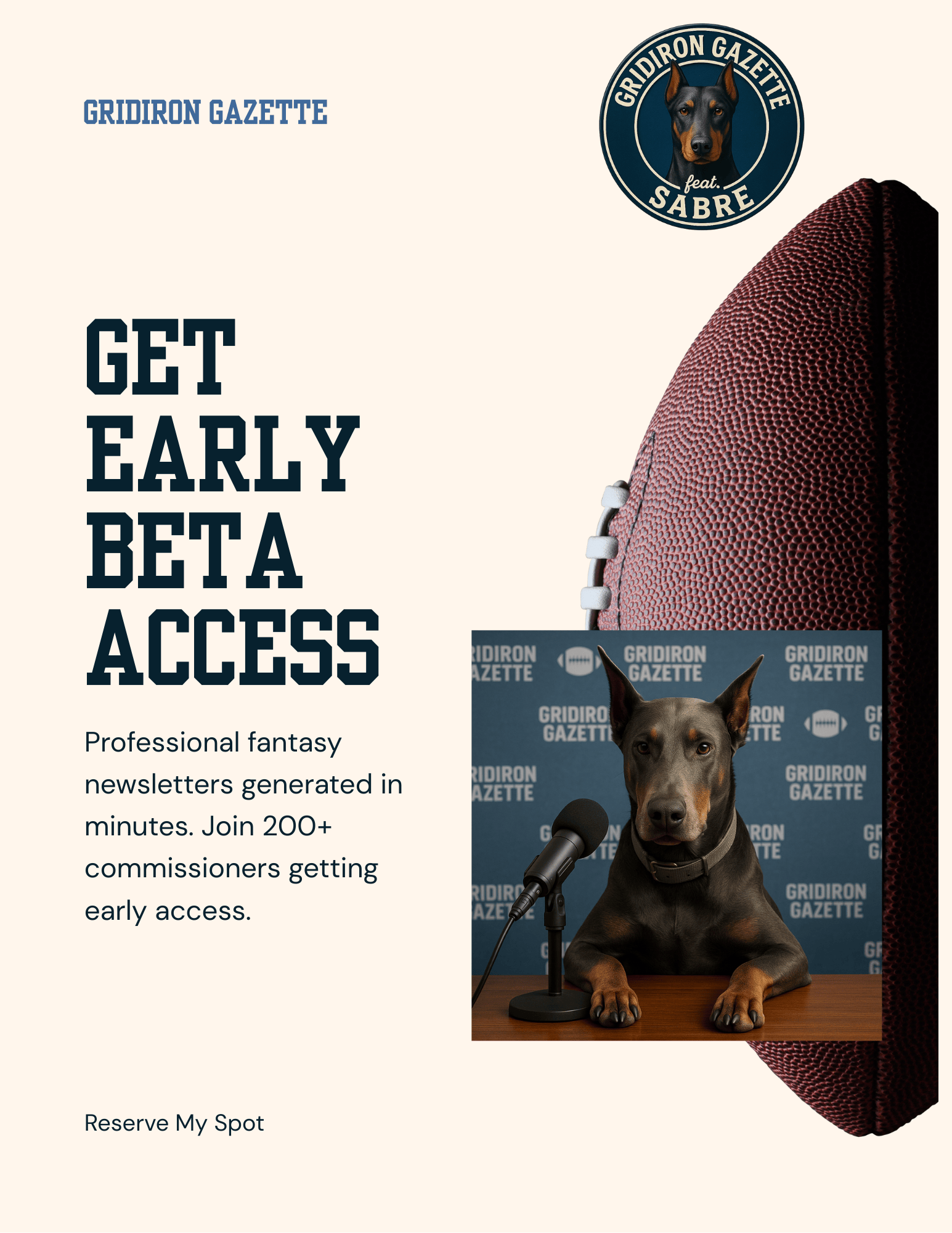 Gridiron Gazette - Professional Fantasy Newsletters